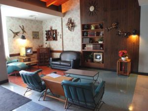 Mid Century Modern Living Room