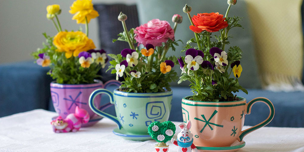 Upcycled tea cups as flower pots
